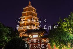 中国陕西省西安市一千三百年历史唐朝大雁塔侧门夜景