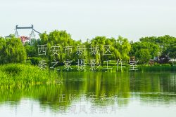 夏天的中国陕西西安大明宫国家遗址公园太液池风景