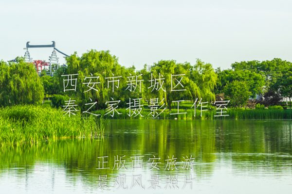 夏天的中国陕西西安大明宫国家遗址公园太液池风景