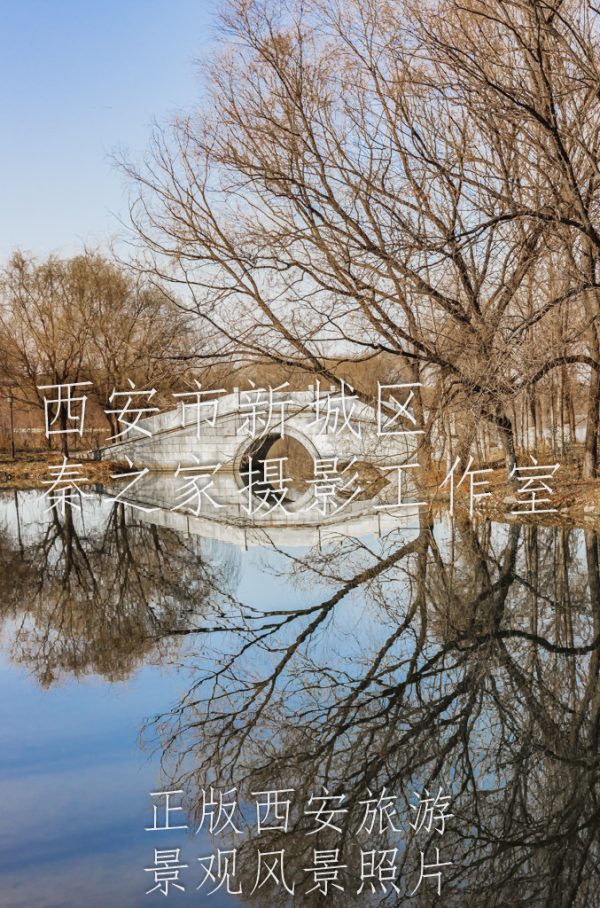 春天的中国陕西西安灞桥生态湿地公园景观风景