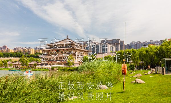 夏天的中国陕西西安曲江池遗址公园景观风景