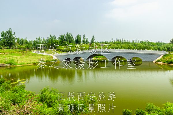 夏天的中国陕西西安浐灞国家湿地公园景观风景