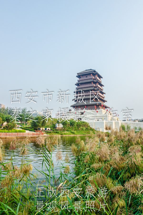 夏天的中国陕西西安汉城湖大风阁景观风景