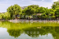 夏天的中国陕西西安莲湖公园风景