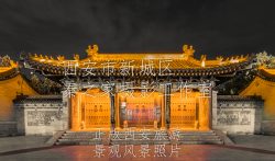 中国陕西西安大慈恩寺大雁塔山门夜景黑金风格