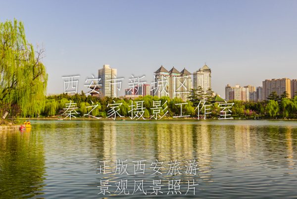 春天中国陕西西安兴庆宫公园景观风景