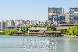 春天的中国陕西西安曲江池遗址公园景观风景