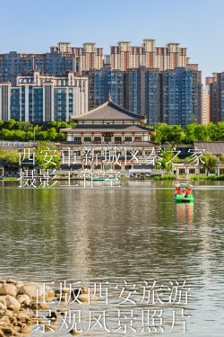 春天的中国陕西西安曲江池遗址公园景观风景