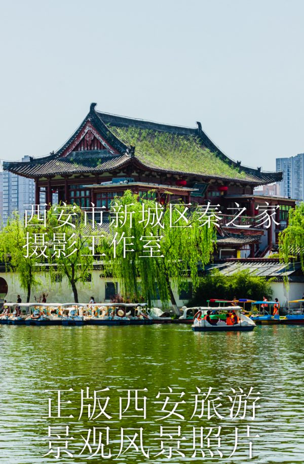 春天的中国陕西西安兴庆宫公园景观风景