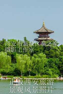 春天的中国陕西西安兴庆宫公园景观风景