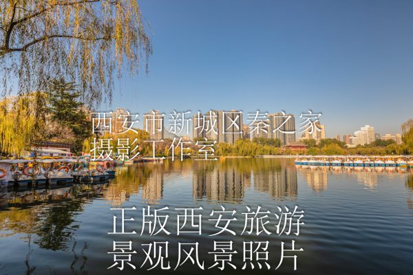 冬天的中国陕西西安兴庆宫公园景观风景