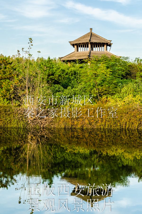 秋天中国陕西西安汉城湖公园景观风景