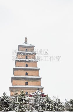 冬天中国陕西西安大雁塔雪景