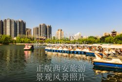 春天中国陕西西安兴庆宫公园景观风景