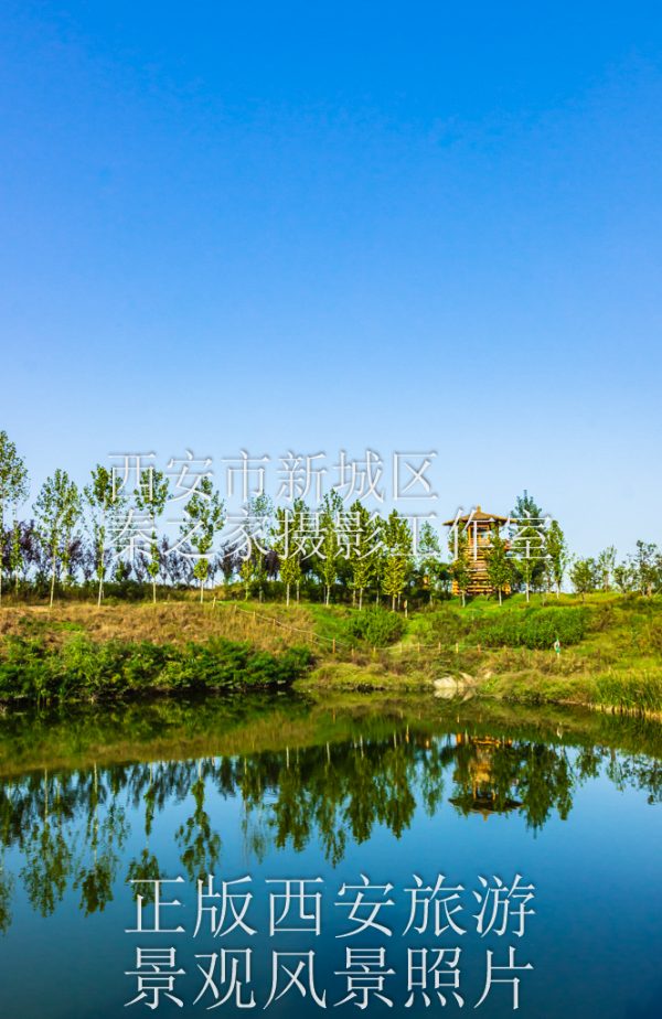 夏天中国陕西西安浐灞国家湿地公园风景