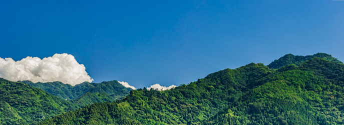 中国陕西省西安市秦岭北麓山脉夏天的自然风景全景图