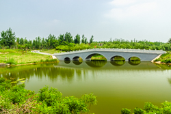 夏天的中国陕西西安浐灞国家湿地公园景观风景