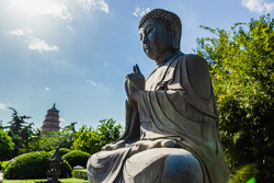 夏天中国陕西西安大慈恩寺遗址公园景观