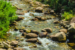 夏天的中国陕西西安秦岭北麓山脉河水溪流景观