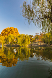 冬天的中国陕西西安兴庆宫公园景观风景