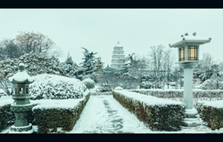 中国陕西省西安市大慈恩寺遗址公园雪景电影风格