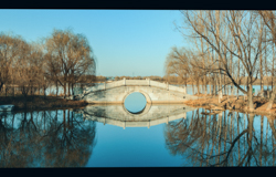 春天的中国陕西西安灞桥生态湿地公园景观风景电影风格