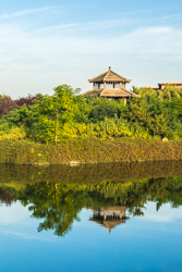 秋天的中国陕西西安汉城湖景观风景