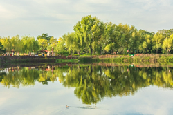 秋天的中国陕西西安汉城湖景观风景