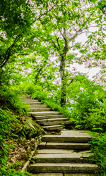 夏天中国陕西西安秦岭北麓山脉风景