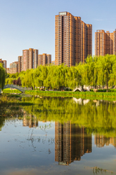 夏季晴天中国陕西西安樊川公园风景