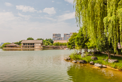 夏天中国陕西西安曲江池遗址公园风景