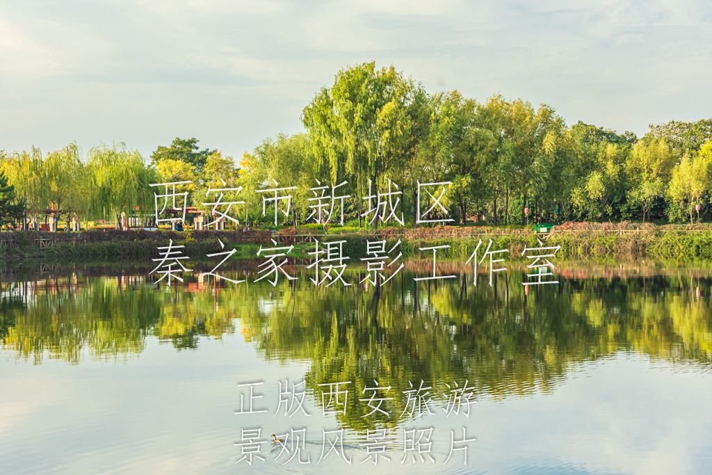 秋天的中国陕西西安汉城湖景观风景