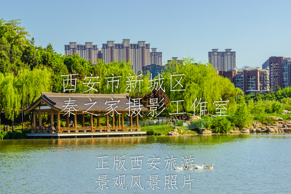 夏天的中国陕西西安曲江池遗址公园景观风景