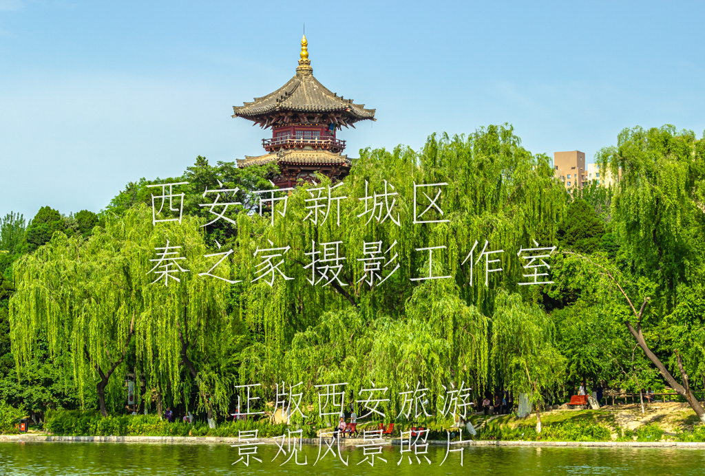 夏天的中国陕西西安兴庆宫公园景观风景