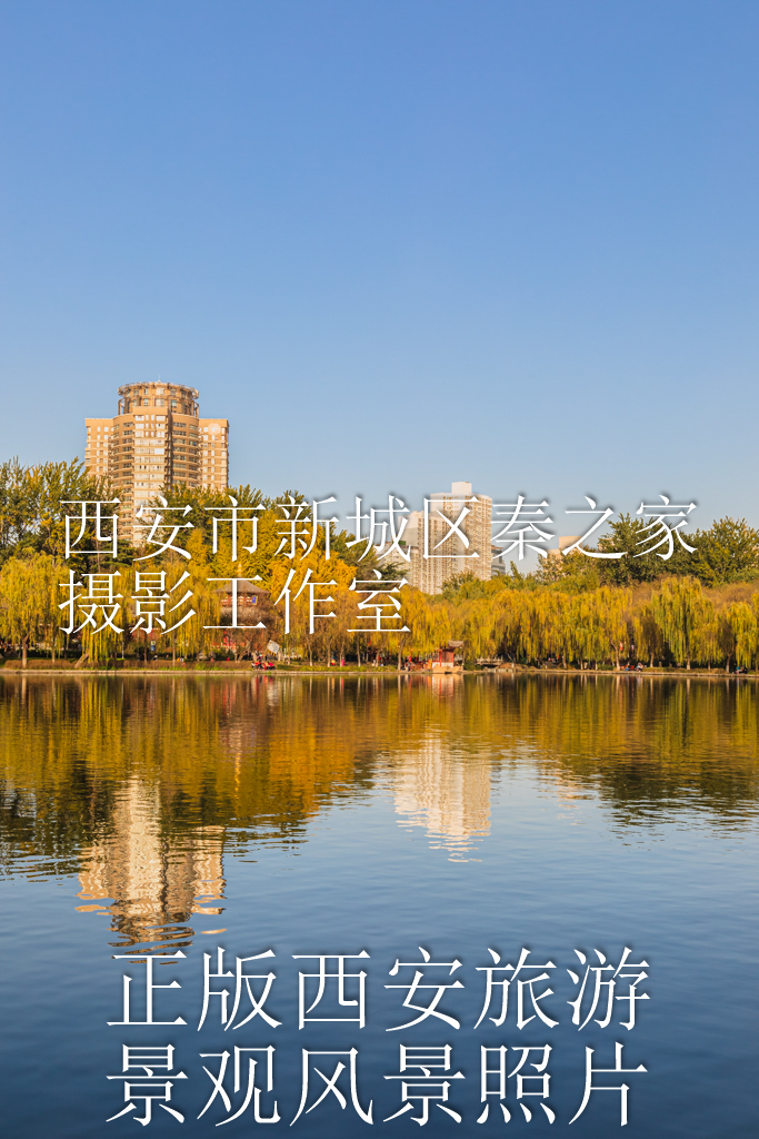 冬天的中国陕西西安兴庆宫公园景观风景