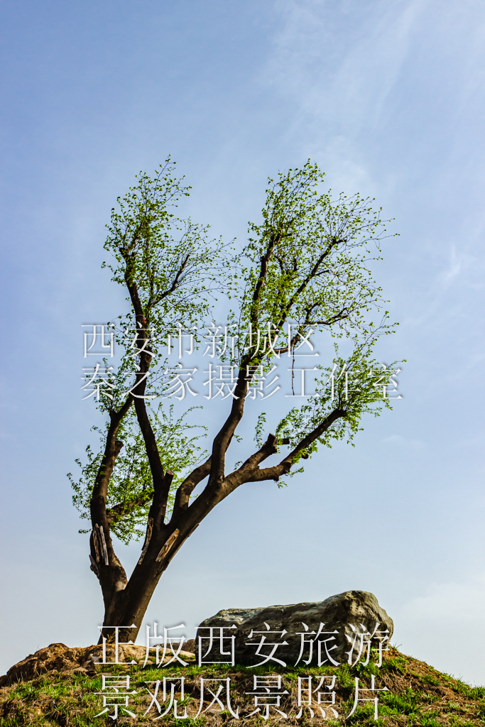 夏天中国陕西西安浐灞国家湿地公园风景